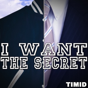 Timid-i-want-the-secret-coverlowres